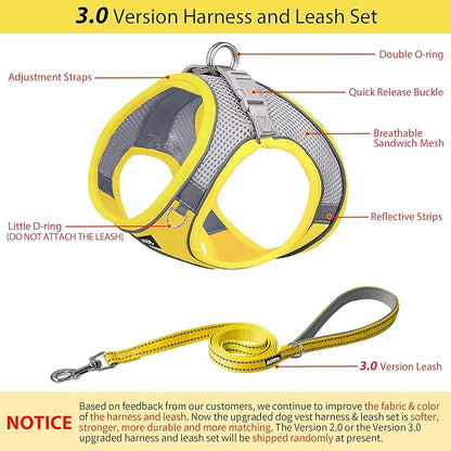 AIITLE Step in Dog Harness and Leash Set - No Pull Escape Proof Vest Harnesses with Soft Mesh and Reflective Bands, Adjustable Pet Outdoor Harnesses for Small and Medium Dogs Yellow M