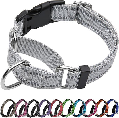 Martingale Dog Collar, Adjustable Nylon Reflective Collar with Buckle No Pull Dog Collar for Small Medium Large Dogs (Grey S)