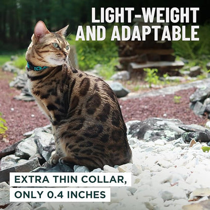 OutdoorBengal Green Cat Collar Breakaway, Soft Padding for Medium to Large Cats - Durable Heavy Duty Tactical Fabric, Comfortable, Quick Release Breakaway Cat Collars, No Bell Collar (Green, Adult)