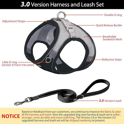 AIITLE Step in Dog Harness and Leash Set - No Pull Escape Proof Vest Harnesses with Soft Mesh and Reflective Bands, Adjustable Pet Outdoor Harnesses for Small and Medium Dogs Black M