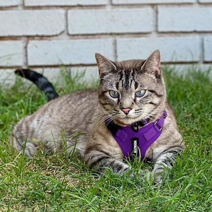 Voyager Escape-Proof Step-in Lock Cat Harness & 5ft Neoprene-Handle Leash Set All-Weather Mesh with Reflective Stitching for Small to Large Cats by Best Pet Supplies, Purple, XS