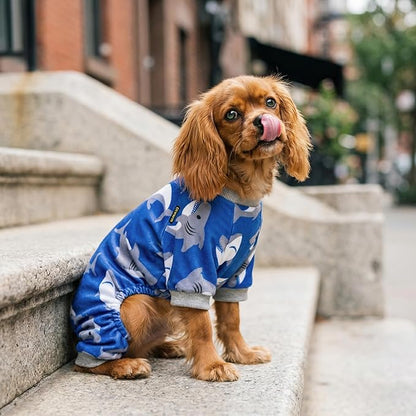 Fitwarm Shark Dog Pajamas, Dog Clothes for Small Dogs Girl Boy, Pet Onesie with Feet, Cat Outfit, Lightweight Velvet, Royal Blue, Medium