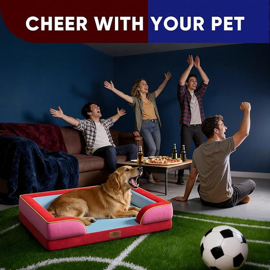 Comfort Expression Orthopedic Dog Bed for Large Dogs 36x27 Inch, Waterproof Egg Crate Foam Large Pet Bed with Removable Bolsters, Dog Couch with Washable Cover & Non-Slip Bottom, Los Angeles