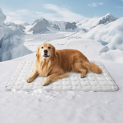 Bedsure Cooling Mat for Large Dogs – 48x30 Thin Washable Cooling Pet Pad for Puppy, QMAX>0.5, XXL Portable Kennel Puppy Bed for Summer, Non-Slip Summer Crate Pad for Big Dog Up to 100 lbs