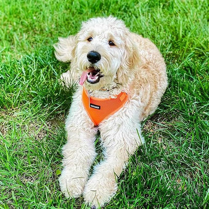 Voyager Step-in Pet Harness - All Weather Mesh, Adjustable Step in Harness for Cats and Dogs by Best Pet Supplies - Orange, XL