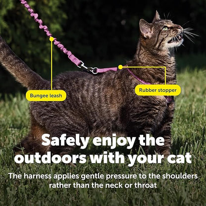 PetSafe Come With Me Kitty Cat Harness & Bungee Leash - Comfortable Cat Harness with Lightweight Bungee Leash for Outdoor Fun - More Secure Walks - Large - Dusty Rose