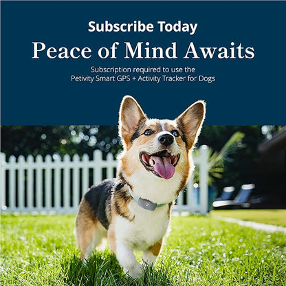 Petivity Smart GPS and Activity Pet Tracker for Dogs Powered by Purina, Waterproof Real Time Tracking GPS Dog Collar, Downloadable App, Subscription Required
