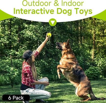 HETOO Tennis Balls for Dogs: 6 Pack 2.5 Inch Dog Balls- Dog Tennis Ball- Outdoor Dog Toys Dogs Water Toys- Dog Toys Ball for Medium Large Dogs for Training Exercise Fetch- Yellow
