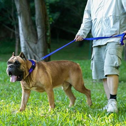EXCELLENT ELITE SPANKER Reflective Dog Collar Classic Soft Padded Breathable Nylon Adjustable Pet Collar with Quick Release Buckle for Boy Girl Male Female Small Medium Large Dogs Training(Black-M)