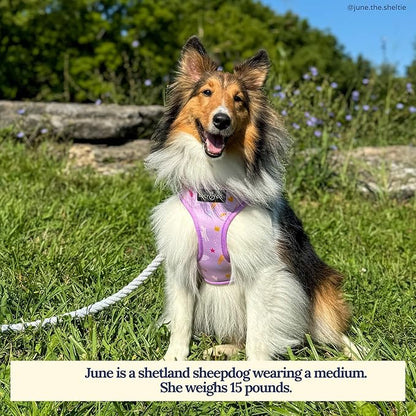Lucy & Co. Cute Reversible Dog Harness Walking Halter - Best Designer Pet Harnesses for XS - XL Dogs - Padded Adjustable Vest for Easy Walking (Large, Unicorn Magic - Purple & Pink Unicorns)