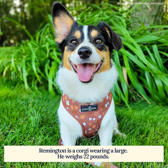 Lucy & Co. Cute Reversible Dog Harness Walking Halter - Best Designer Pet Harnesses for XS - XL Dogs - Padded Adjustable Vest for Easy Walking (Medium, Chocolate Meadows - Brown & White Floral)
