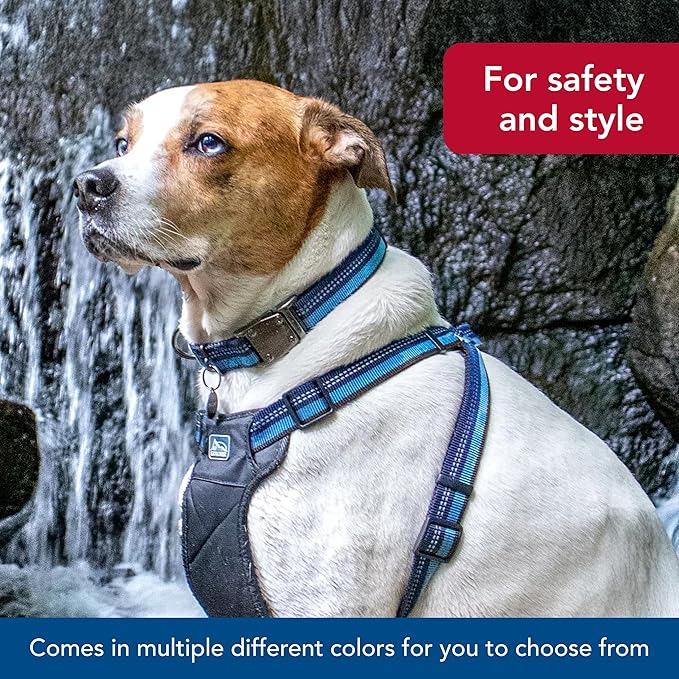 Coastal Pet K9 Explorer Reflective Adjustable Dog Collar - Comfortable Collar for The Outdoors - Durable, Lightweight Accessory with Side-Release Buckle - Campfire Orange, 5/8" x 10-14"