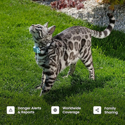 Tractive Smart Cat GPS Tracker with Free 6 Month Subscription | Real-Time Location & Wellness Monitoring for Cats 6.5 lbs+ | Territory & Location History | Up to 5-Day Battery (Mint)