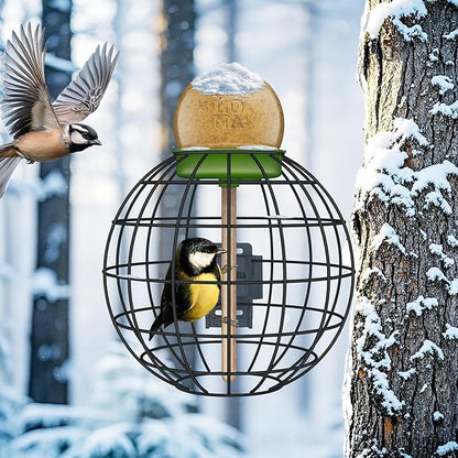 LONA Squirrel Proof Bird Feeding Cage for Outdoor All-Weather Metal Caged Bird Feeder with Peanut Butter Jar Holder, Trapeze Stick, Chew-Proof Feeding Cage for Small Birds (Round Cage, 1 Feeding Unit)