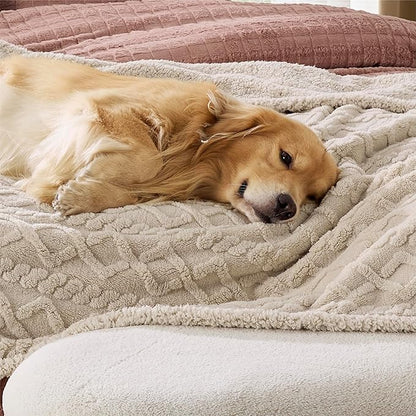 Bedsure Waterproof Dog Blankets for Bed - Pet Blanket for Bed Couch Protector Washable, Jacquard Coral Fleece Cat Throw Blanket, Soft Plush Reversible Furniture Protection, King, 86x108, Cream