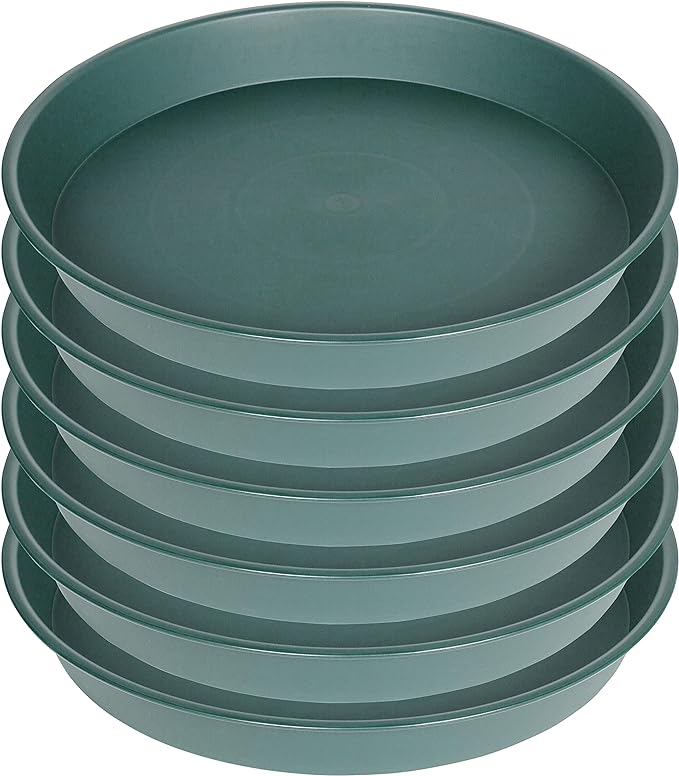 2 Pack of 8 inch Plant Saucer Clear, Heavy Duty Plastic Plant Water Tray 8 inch Round, Flower Plant Saucers for Indoors No Holes, Plant Dishes Saucer for Planter 7"/8" (8", Green)
