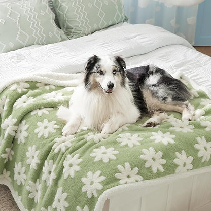 LE SURE Waterproof Dog Blanket for Large Dogs - Washable Double Sided Dog Blankets with Warm Jacquard Shag and Soft Sherpa Fleece, Pet Cat Blanket for Bed Couch Protection, 3D Textured Cloud, Green