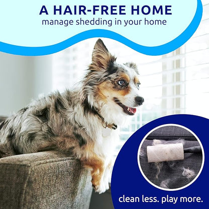 Pat Your Pet Deshedding Dog Brush For Shedding – Cat Brushes For Indoor Cats, Double-Sided Cat Brush Deshedding & Grooming Tool For Long Haired And Short Haired Dogs, Skin-Friendly