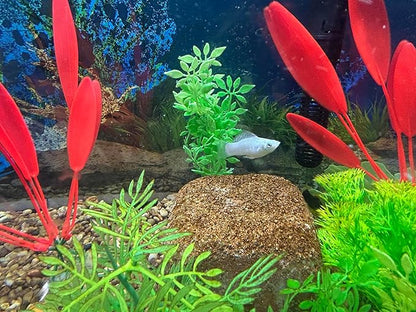 Aquarium Stone for Natural Water Clarification and Odor Removal Featuring Beneficial Bacteria (Nano)