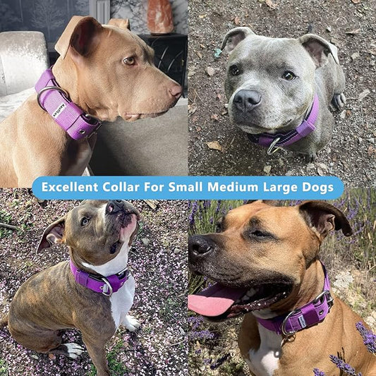 Heavy Duty Tactical Dog Collar - 1.5" Width Military Durable Thick Nylon with Adjustable Metal D Ring & Buckle Working Training K9 Collar for Medium Large Dogs (L(20"-23"), Purple)