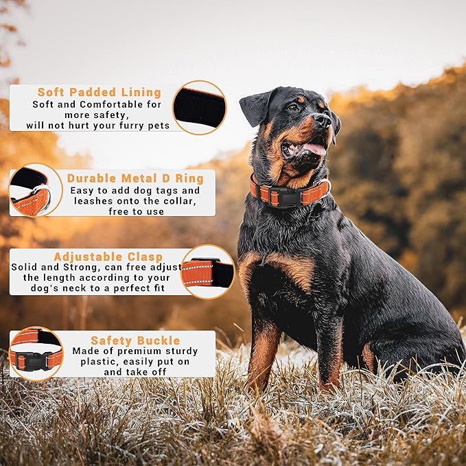 2 Pack Reflective Dog Collar with Safety Locking Buckle, Adjustable Soft Breathable Comfortable Nylon Pet Collar for Small, Medium and Large Dogs, Orange, L