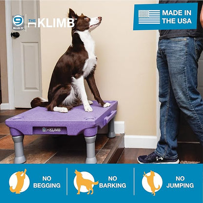 Blue-9 Pet Products KLIMB Dog Training Platform and Agility System, Durable and Portable for Indoor or Outdoor Use, Made in The USA, Purple