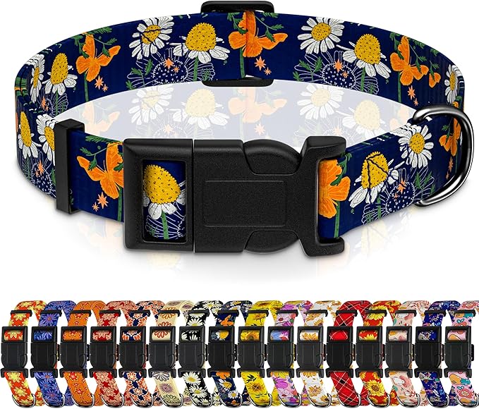 Dog Collar with Butterflies Print, Daisy Boys Girls Puppy Collar for Small Medium Large Dogs, Adjustable Soft Floral Pet Collar with Safety Buckle for Male Females(Blue Butterfly,L)
