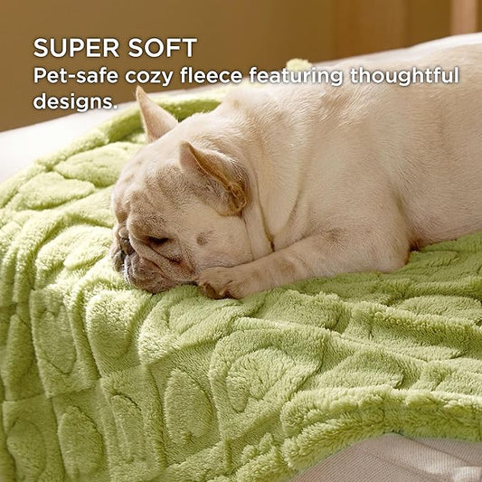 Bedsure Dog Blanket for Large Dogs Washable - Fluffy Fuzzy Puppy Cat Blanket with Premium 300GSM Coral Fleece Soft for Pet Kitten Doggy, Green, 40x50IN