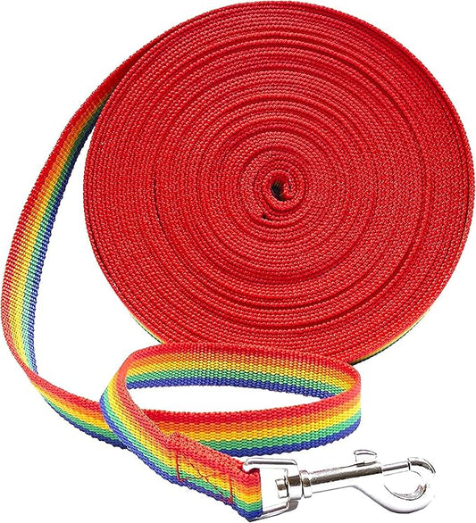 Downtown Pet Supply - Long Rainbow Dog Leash - 20 ft Nylon Training Leash for Recall & Obedience