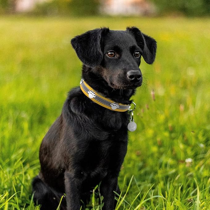 PETCARE Reflective Dog Collar with Cute Paw Rivet Studded Funny Soft PU Leather Adjustable Puppy Dog Collars for Small Medium Large Dogs Cats (Yellow,Small)
