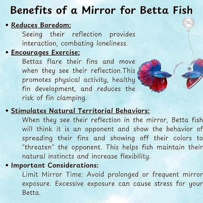 Betta Ring and Mirror Toy for Aquarium, 2 pcs Betta Ring Enrichment Toys, Floating Exercise Mirrors for Fish Tank and Training Feeding Rings, Fish Toys, Aquarium Accessories (Black, M-Heart)
