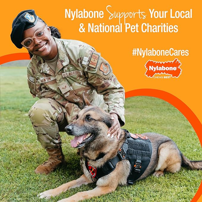 Nylabone Textured Dental Bone Flexi Chew Toy for Dogs, Dog Toys for Moderate Chewers, Chicken Flavor, X-Small - Up to 15 lbs, 1 Count
