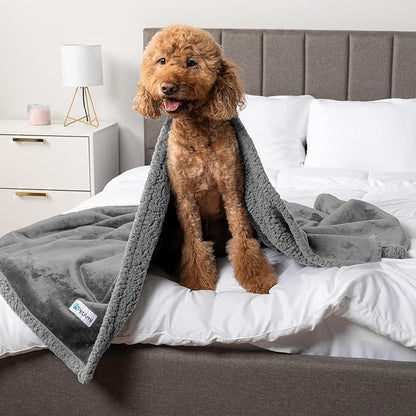 PetAmi Waterproof Dog Blanket for Medium Large Dog Puppy Cat Throw for Couch Cover Leakproof Protection, Sherpa Fleece, Reversible Soft Washable 60x40 Light Gray