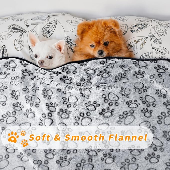LOKOZ 2 Pack Dog Blanket for Small Medium Dogs, Soft Washable Fleece Pet Blankets with Paw Print, Puppy & Cat Blanket for Bed Couch Sofa, 24"x32"