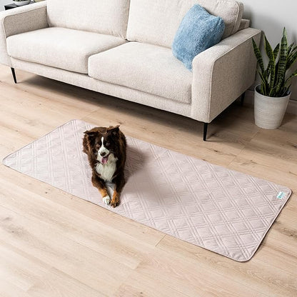PetAmi Waterproof Couch Cover for Dogs, Waterproof Pet Blanket, Reversible Furniture Cover Sofa Protector for Pet Cat Bed, Washable Waterproof Blanket Dog Cover for Couch Seat, 30x70 Beige