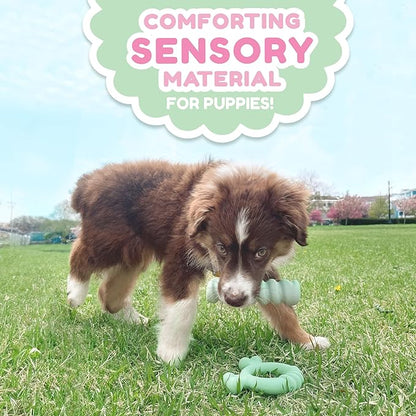 Nylabone Sensory Material Soothing Puppy Chew Toy Stick, Toys for Teething Puppies, Peanut Butter Flavor, Small - Up to 25 lbs, 1 Count