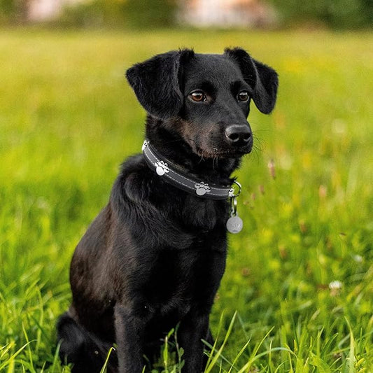 PETCARE Reflective Dog Collar with Cute Paw Rivet Studded Funny Soft PU Leather Adjustable Puppy Dog Collars for Small Medium Large Dogs Cats (Black,XX-Large)