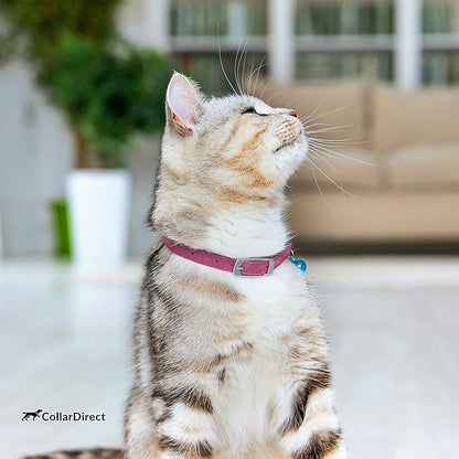 CollarDirect Leather Cat Collar with Removable Bell (Pink, 6-7 Inch)