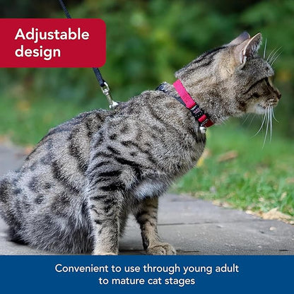 Coastal Pet New Earth Soy Adjustable Breakaway Cat Collar - Eco-Friendly, Odor-Resistant and Adjustable Cat Collar, Rose, 3/8" x 08"-12"