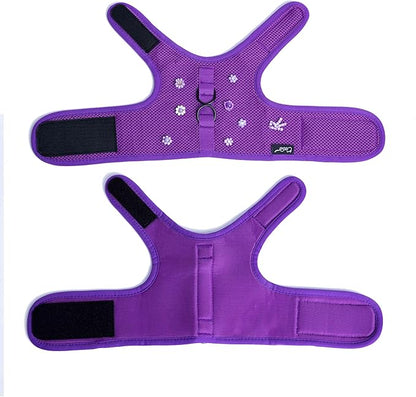Kitty Harness and Leash for Walking Escape Proof Breathable Mesh Fabric, Purple, Small, Adjustable Cat Walking Jackets with DIY Beads, Padded Stylish Cat Vest