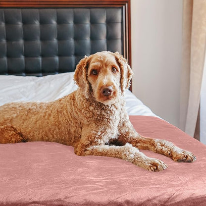 PETMAKER Dog Blanket - 60x70in Reversible Sherpa Blanket - Throw Blankets for Bed, Couch, Crate, or Car - Machine Washable Puppy Essentials (Pink)