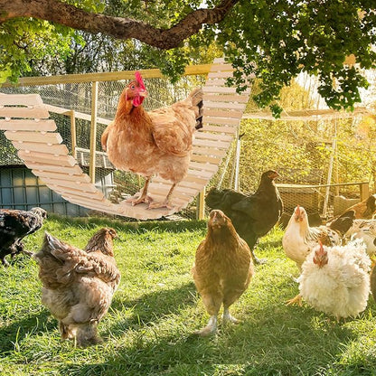 Jorewood Chicken Coop Toy Natural Wooden Chicken Swing & Bridge Toys Multi-Functional Poultry Perch with Wooden Beads (Safe for Chickens/Ducks)