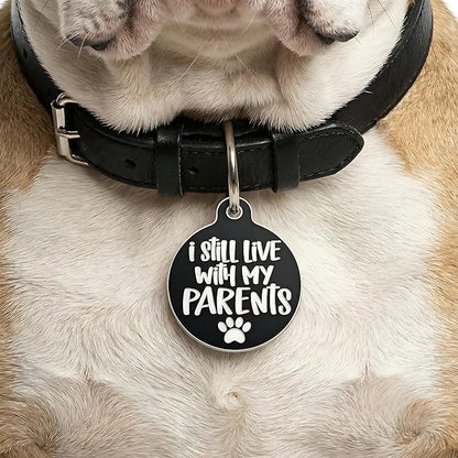 Bad Tags Personalized Dog and Cat ID Tags in 25+ Designs and 2 Sizes - 5 Lines of Custom Engraved Text - Funny Cute Personalized Pet Tags (I Still Live with My Parents, Large (1.25 inch))