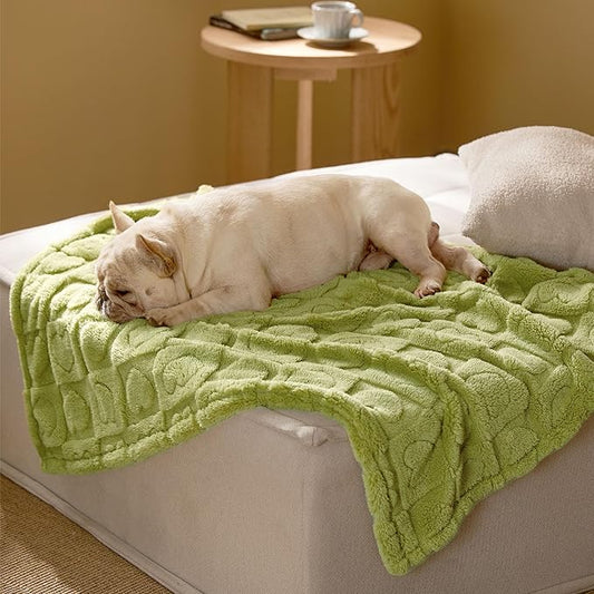 Bedsure Dog Blanket for Medium Dogs Washable - Fluffy Fuzzy Puppy Cat Blanket with Premium 300GSM Coral Fleece Soft for Pet Kitten Doggy, Green, 30x40IN
