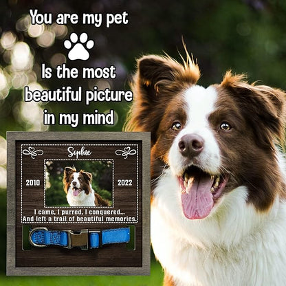 Customized Dog Picture Frames for Dogs That Passed Personalized Gifts for Pets Cat Memorial Frames Pet Photo Frames and Memorials Loss of Cat Gifts Rainbow Bridge Puppy Loss Gifts