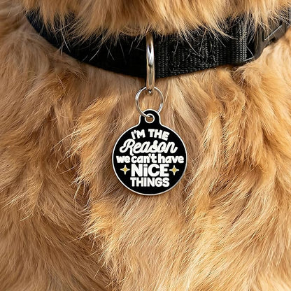 Bad Tags Personalized Dog and Cat ID Tags in 25+ Designs and 2 Sizes - 5 Lines of Custom Engraved Text - Funny Cute Personalized Pet Tags (I'm The Reason We Can't Have Nice Things, Large (1.25 inch))