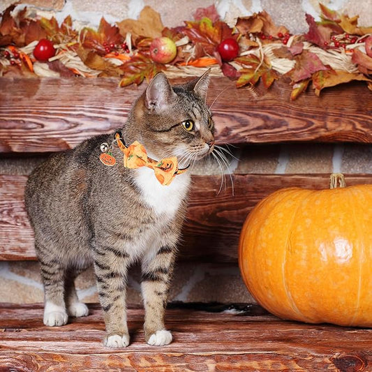 ADOGGYGO Halloween Cat Collars with Bow Bell, Breakaway Kitten Collar with Bowtie Pumpkin Ghost Halloween Collar for Girl Boy Cats Kittens