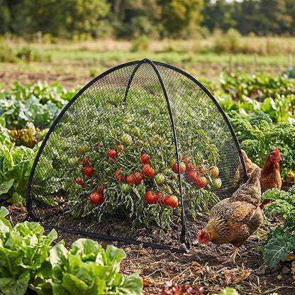 DECOHS 2 Pcs Pop-Up Mesh Plant Cover Tent, 30 x 28 x 28 Inch Garden Net Cage Guard Cover, Plant Protector Enclosure with 12 Ground Stakes for Protecting Plants Vegetable Fruit from Birds Insects