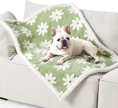 LE SURE Waterproof Dog Blanket for Medium Dogs - Washable Double Sided Dog Blankets with Warm Jacquard Shag and Soft Sherpa Fleece, Pet Cat Blanket for Couch Protection, 3D Textured Cloud, Green