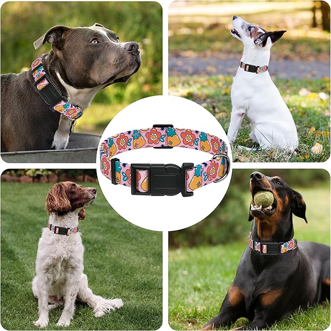 Dog Collar, Cute Cartoon Fruit Boys Girls Puppy Collar for Small Medium Large Dogs, Adjustable Soft Pet Collar with Safety Buckle for Male Females(Pink Cartoon, L)